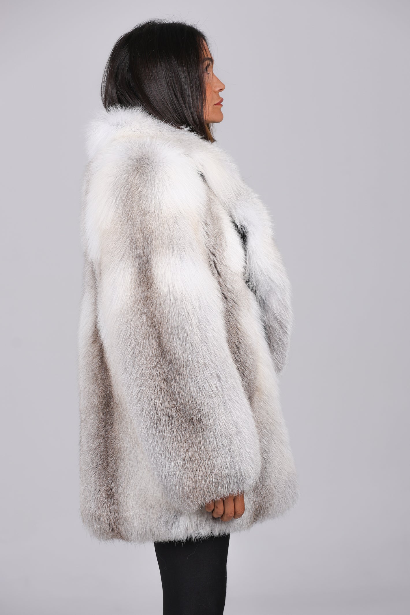 Coat Fox Artic