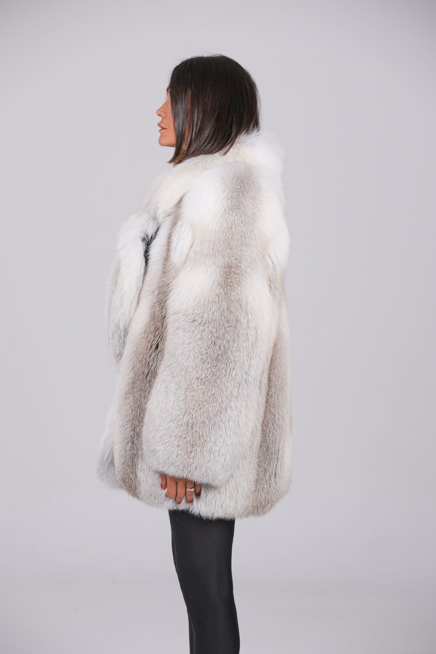 Coat Fox Artic