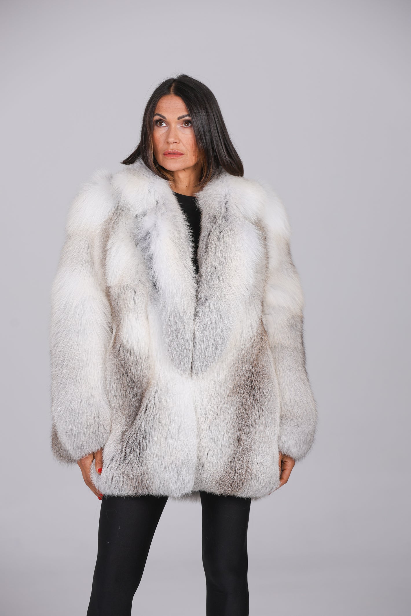 Coat Fox Artic